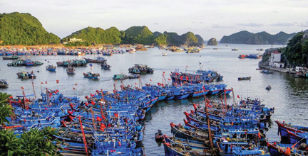 Thực hiện Nghị định 67 của Chính phủ. Ngư dân băn khoăn thủ tục và thiết kế mẫu tàu cá